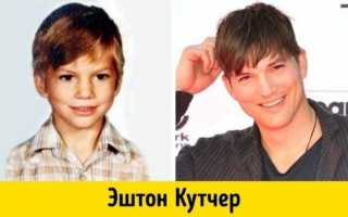 Эштон Кутчер (Ashton Kutcher) — биография, семья и фильмография знаменитого актера