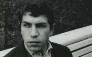 Владимир Толоконников — биография, фото, личная жизнь: Из Шарикова в Хоттабычи