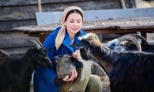 Валерия Ходос — биография и личная жизнь, фото актрисы